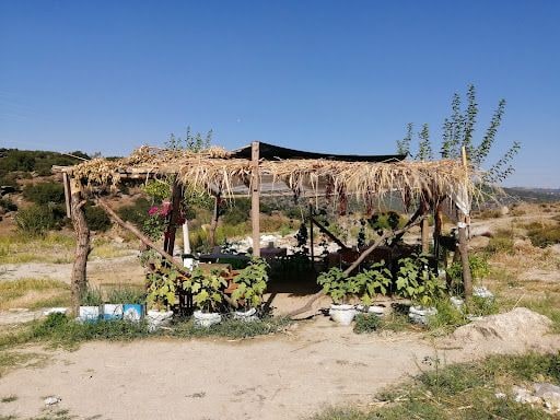 Fotoğraf 12