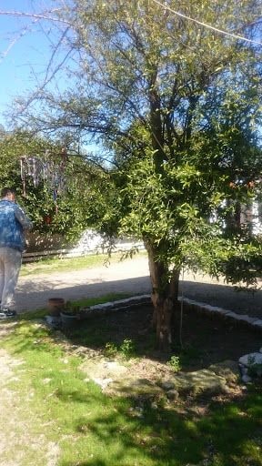 Yorum fotoğrafı 3