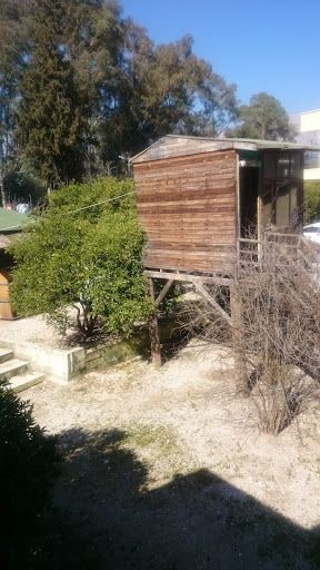 Yorum fotoğrafı 5