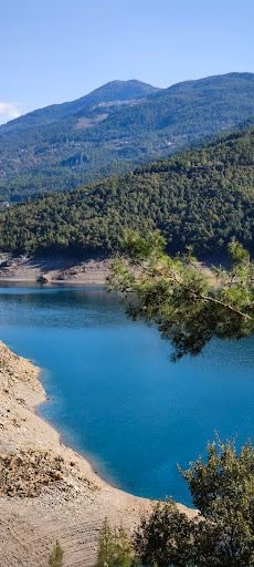 Yorum fotoğrafı 8
