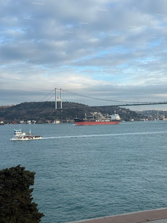 Yorum fotoğrafı 4