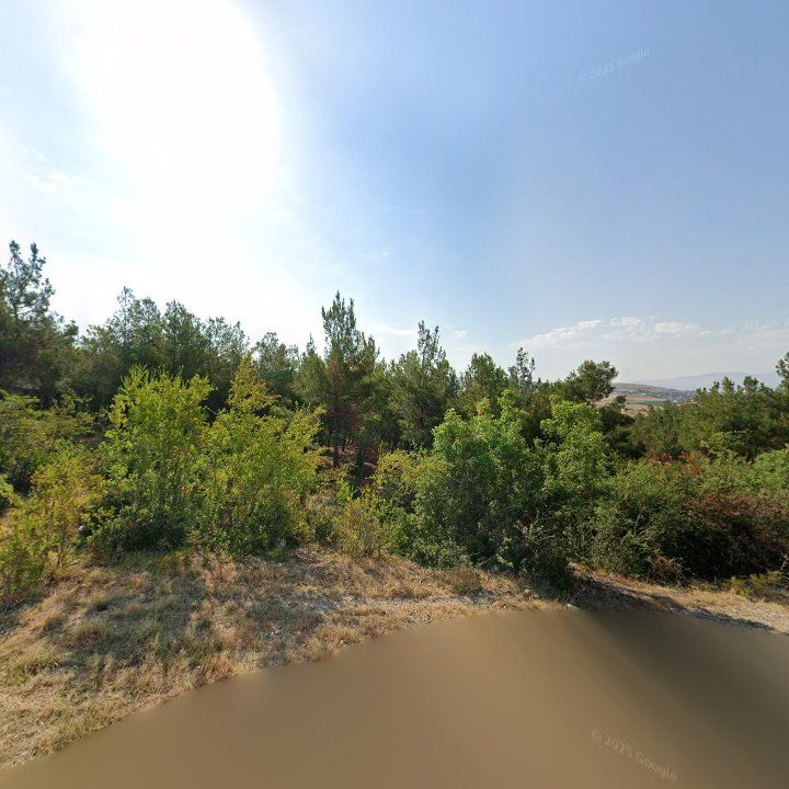Fotoğraf 8