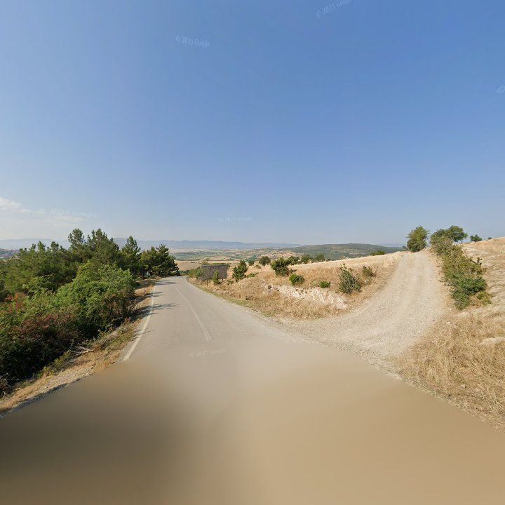 Fotoğraf 9