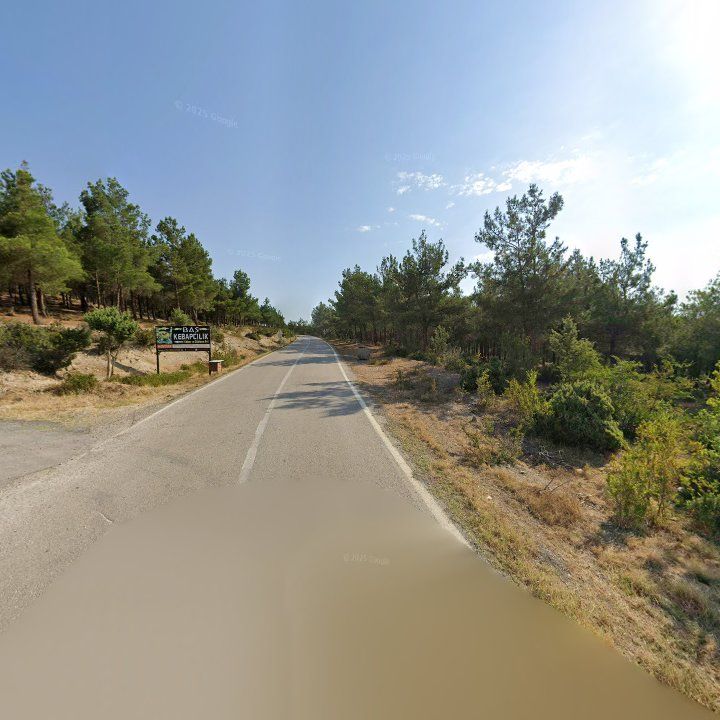 Fotoğraf 7