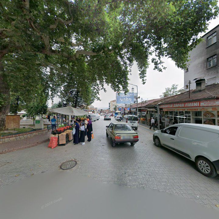Fotoğraf 8