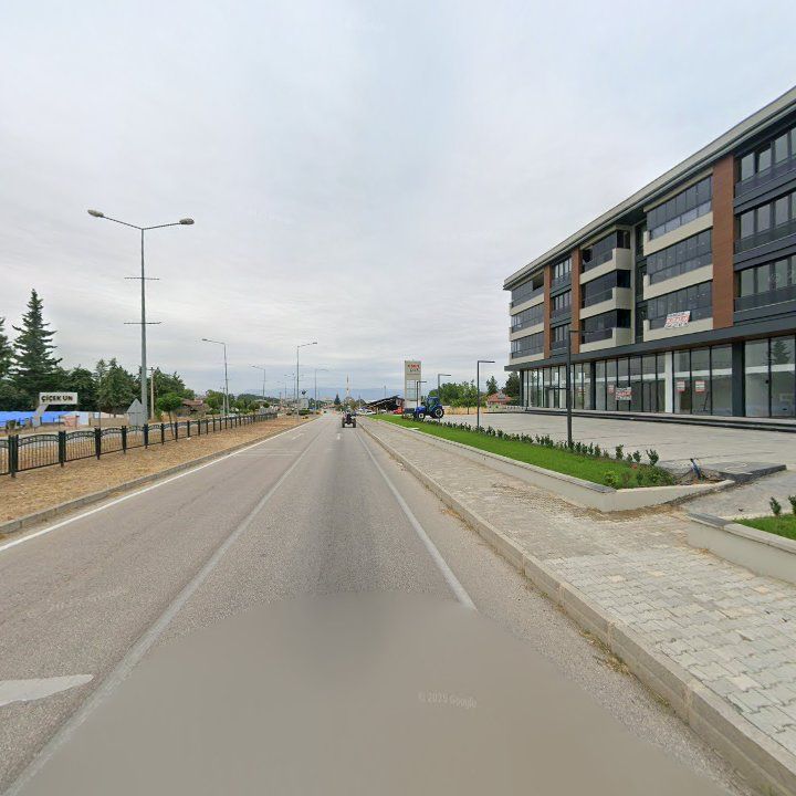 Fotoğraf 8