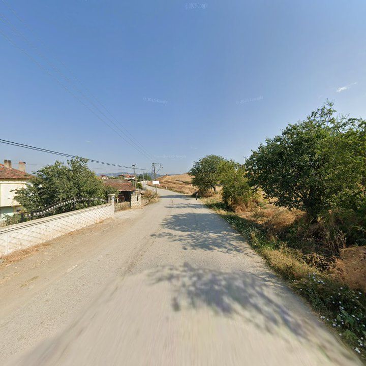 Fotoğraf 8