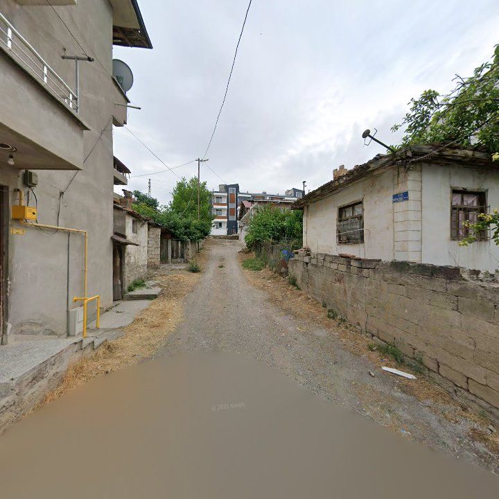 Fotoğraf 9