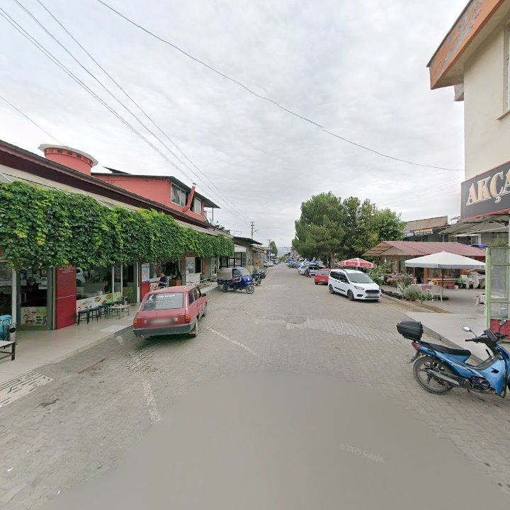 Fotoğraf 9