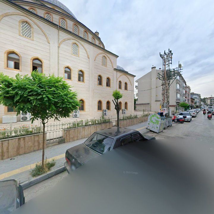 Fotoğraf 8