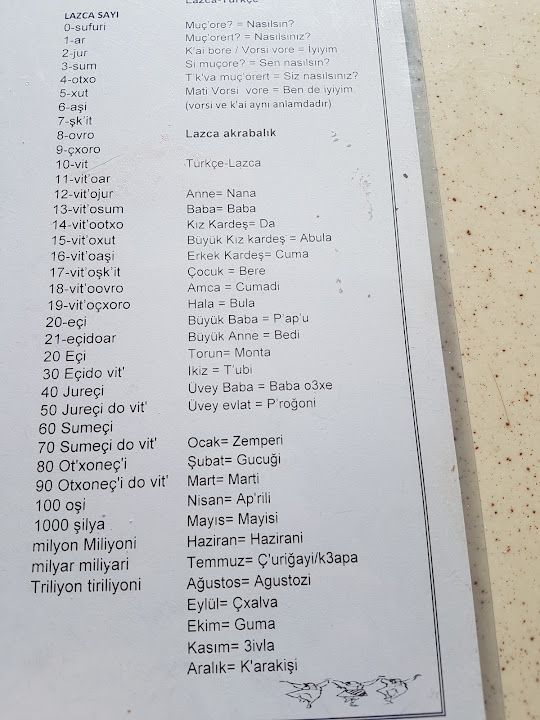 Fotoğraf 14