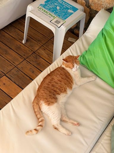 Yorum fotoğrafı 5