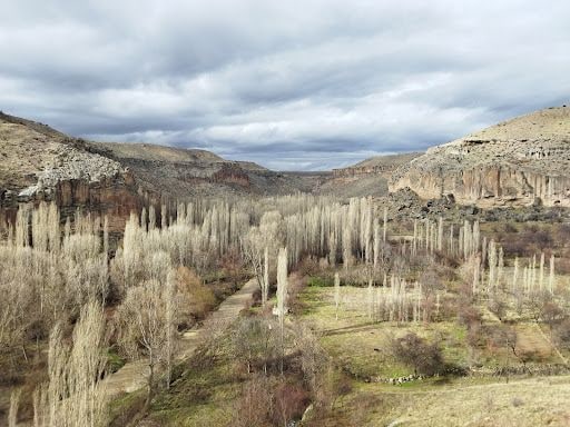 Yorum fotoğrafı 3