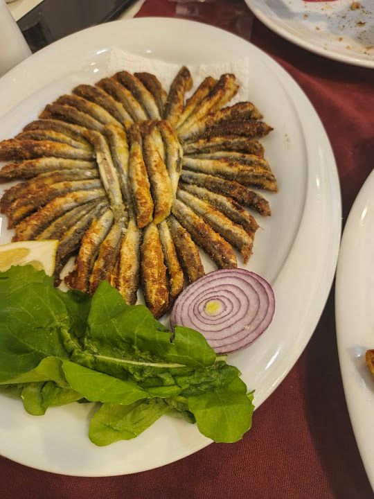 Yorum fotoğrafı 4