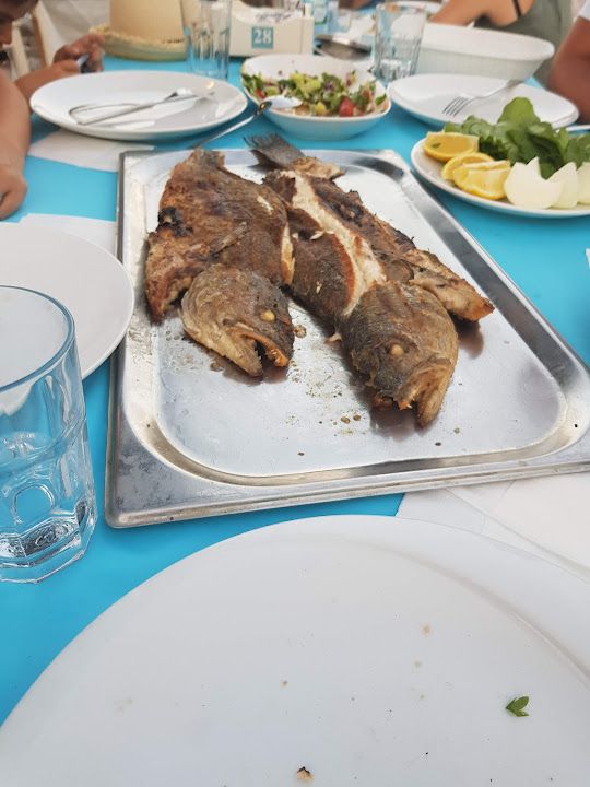 Fotoğraf 38