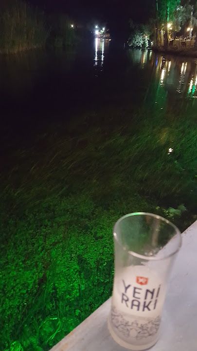 Fotoğraf 48