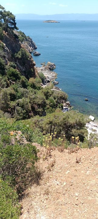 Fotoğraf 13