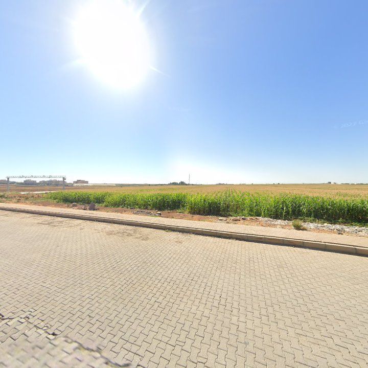 Fotoğraf 11