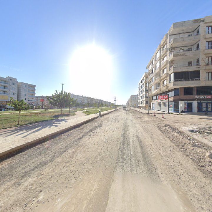 Fotoğraf 10