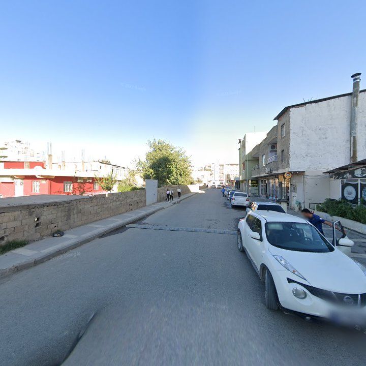 Fotoğraf 8