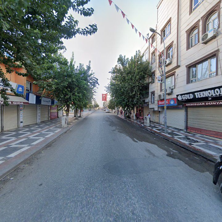 Fotoğraf 10