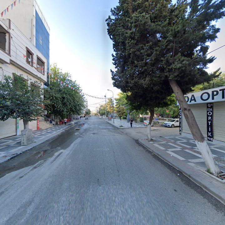 Fotoğraf 12