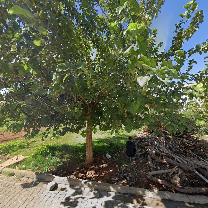 Fotoğraf 8