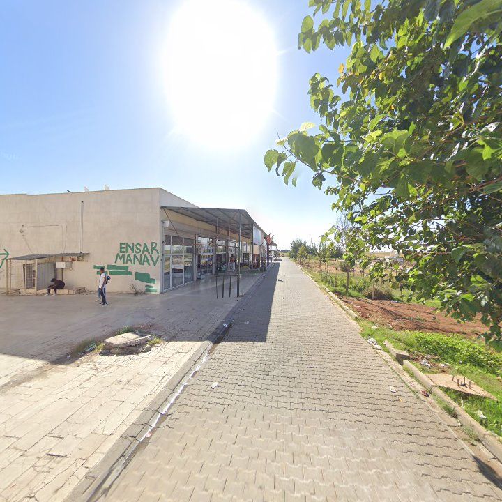 Fotoğraf 7