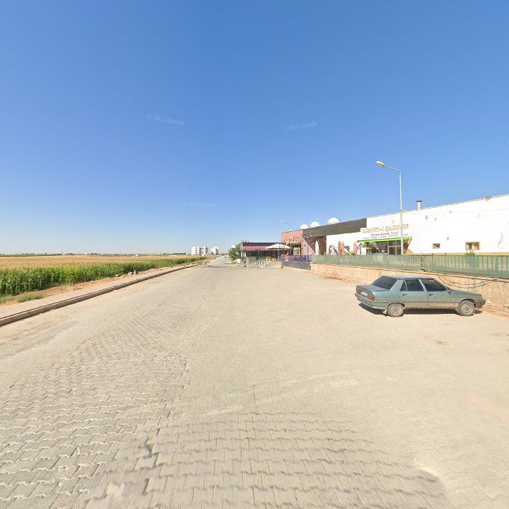 Fotoğraf 10