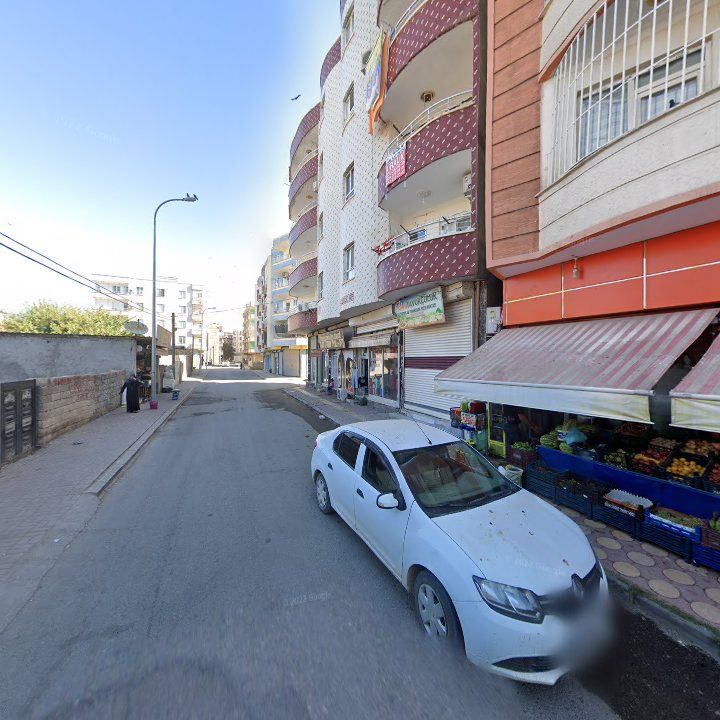 Fotoğraf 9