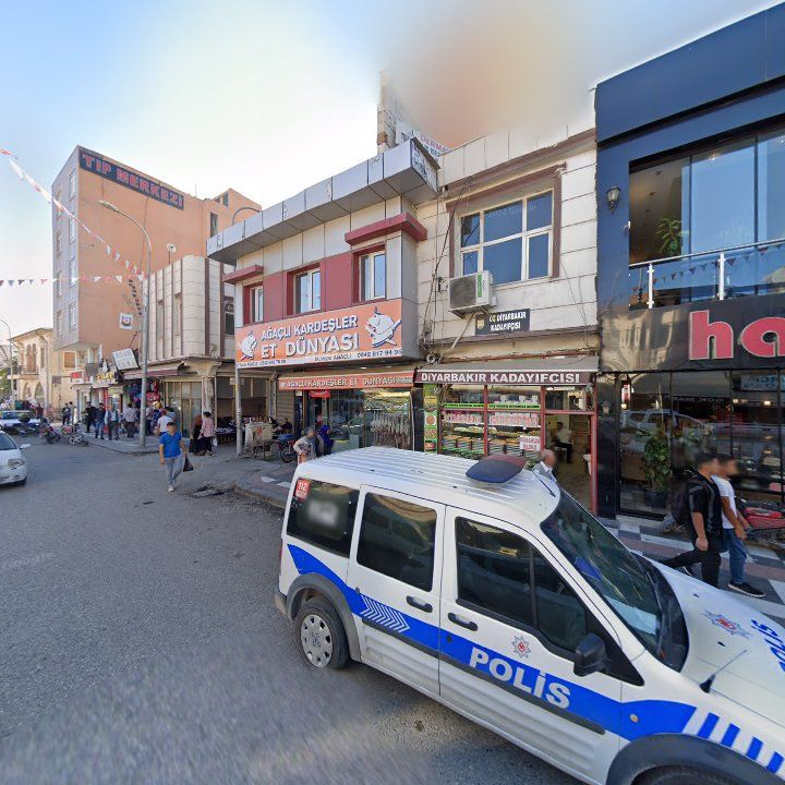 Fotoğraf 7