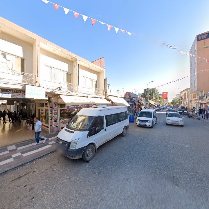 Fotoğraf 10