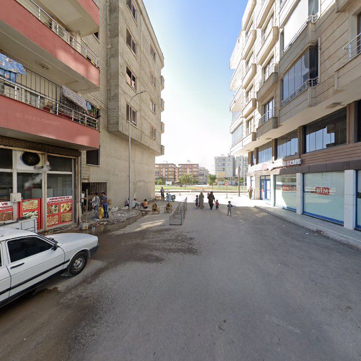 Fotoğraf 3