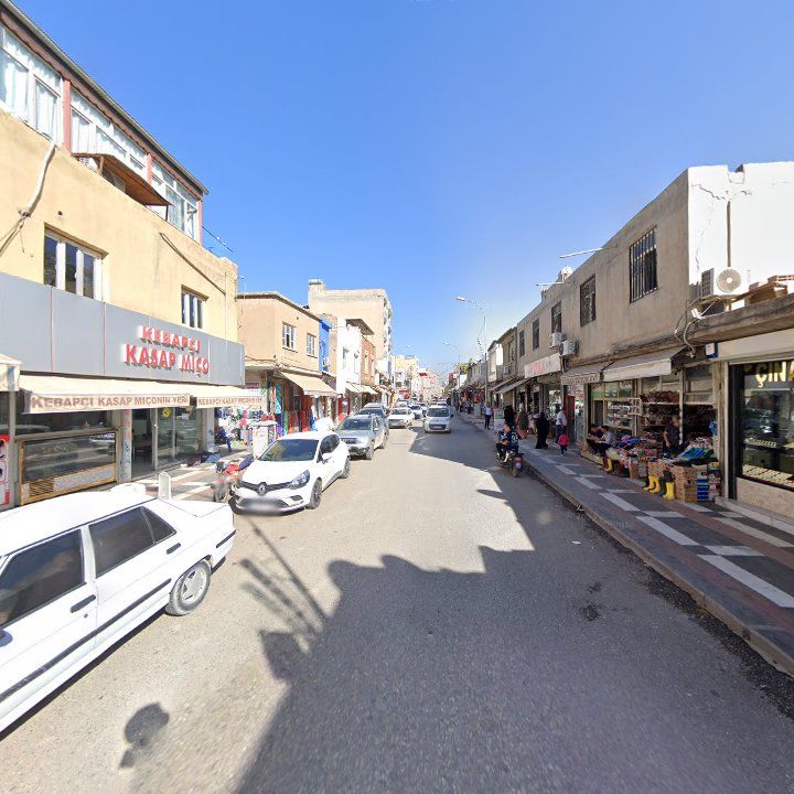 Fotoğraf 8