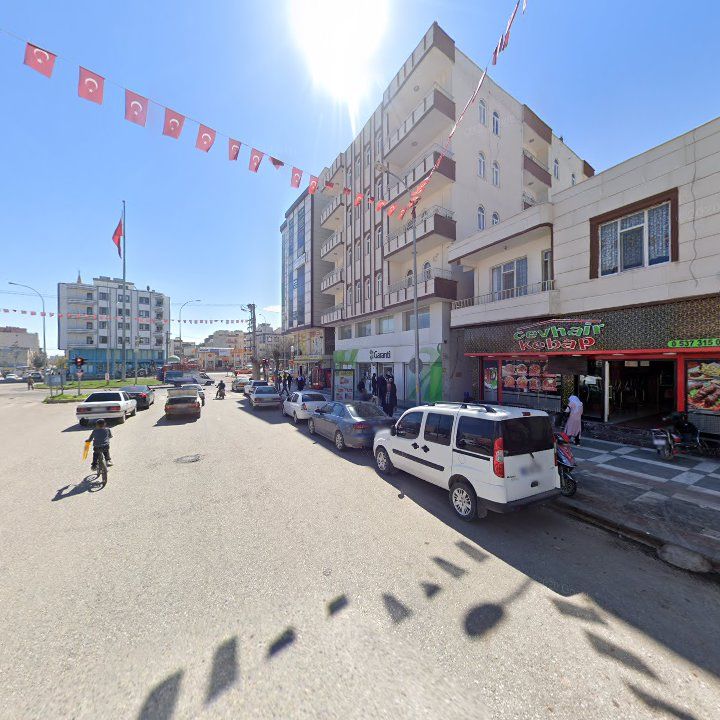 Fotoğraf 7