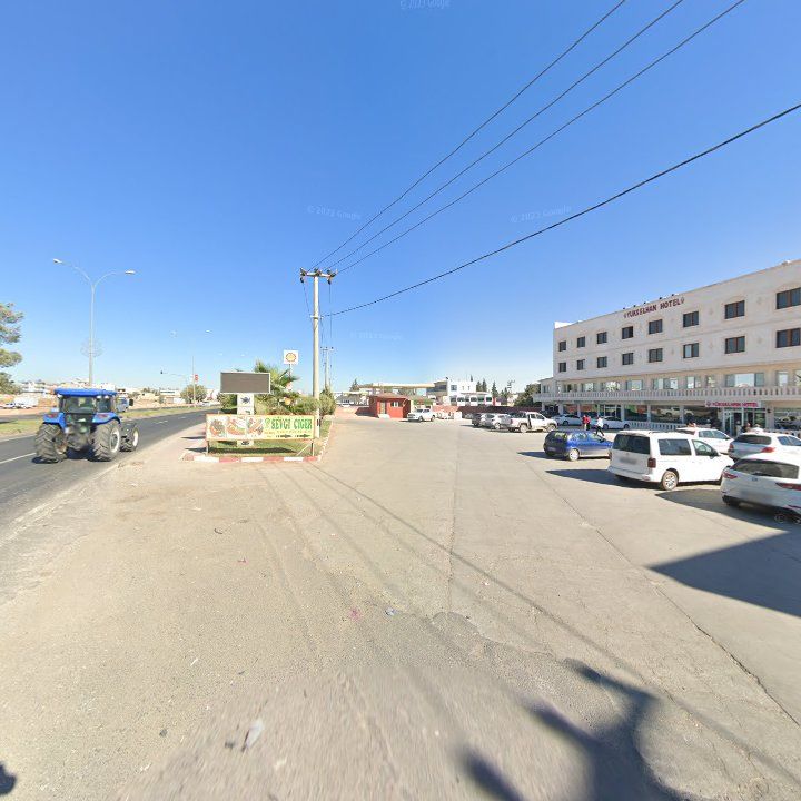 Fotoğraf 11