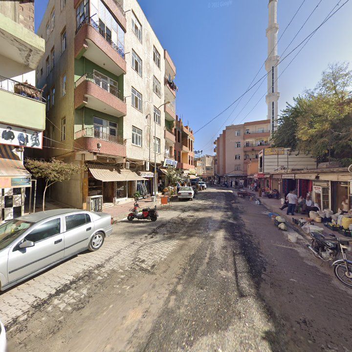 Fotoğraf 3