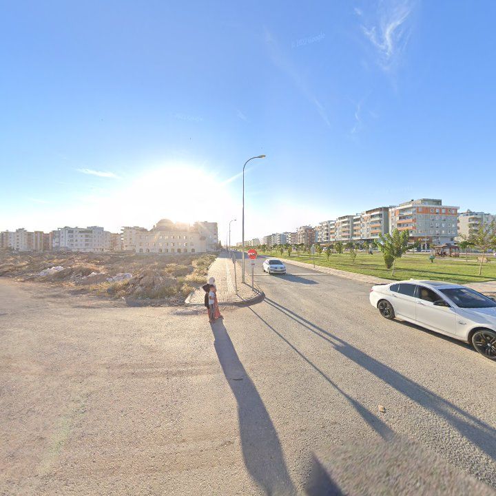 Fotoğraf 10