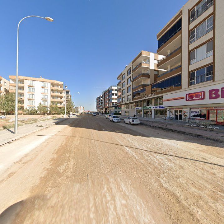 Fotoğraf 8