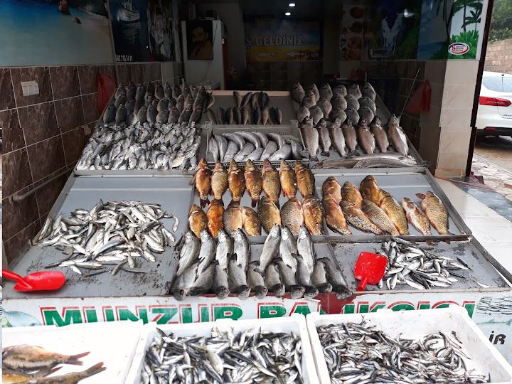 Viranşehir munzur balıkçısı
