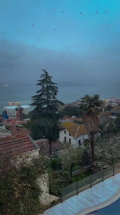 Fotoğraf 17