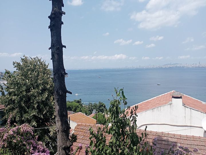 Fotoğraf 16