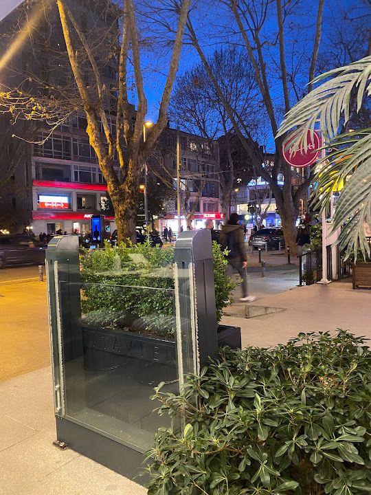 Fotoğraf 28