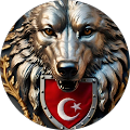 Volkan Cayir