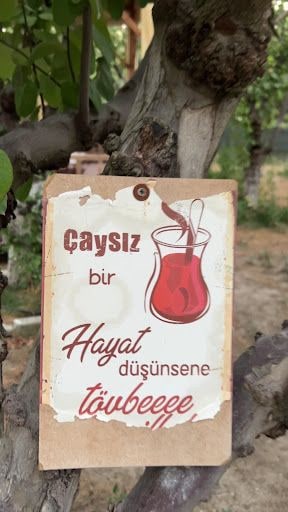 Fotoğraf 25