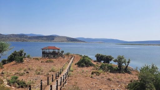 Fotoğraf 32