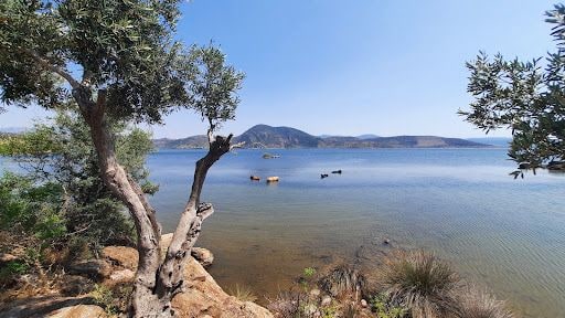 Fotoğraf 33