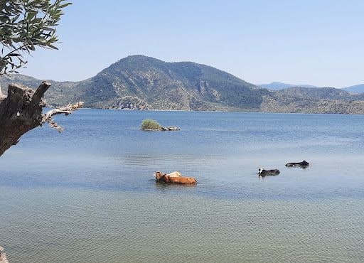 Fotoğraf 35