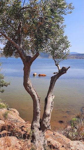 Fotoğraf 37