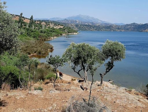 Fotoğraf 38